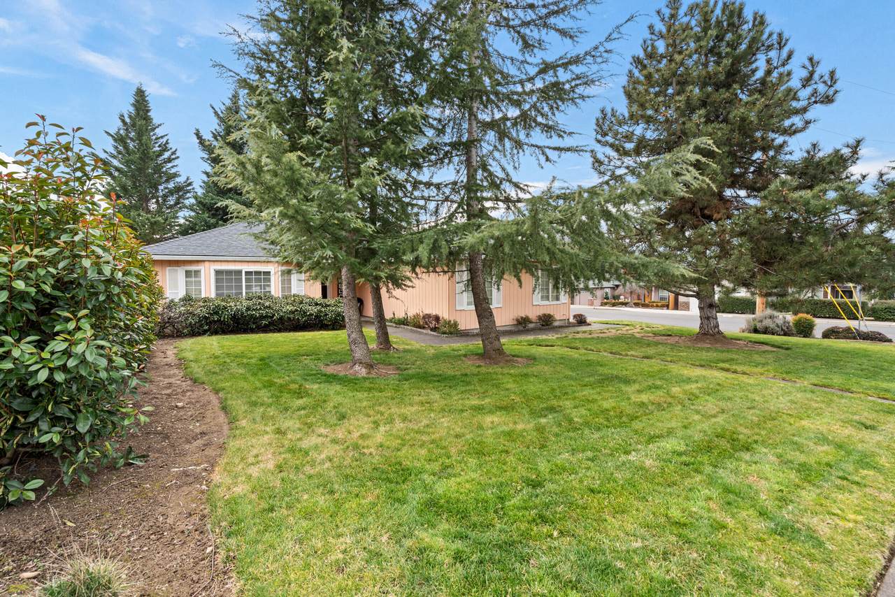 3402 Lone Pine Road - Photo 1