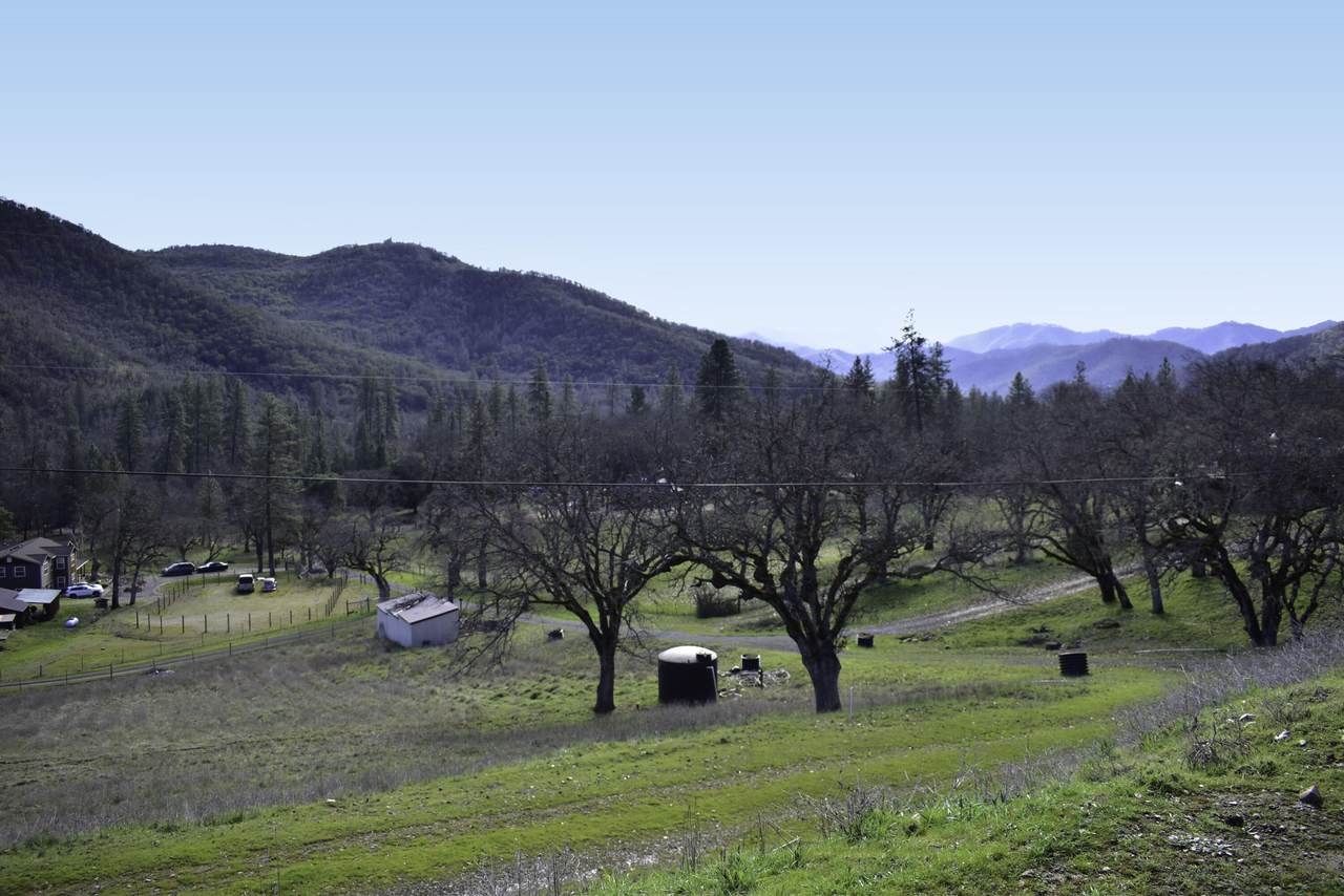 12940 Highway 234 - Photo 1