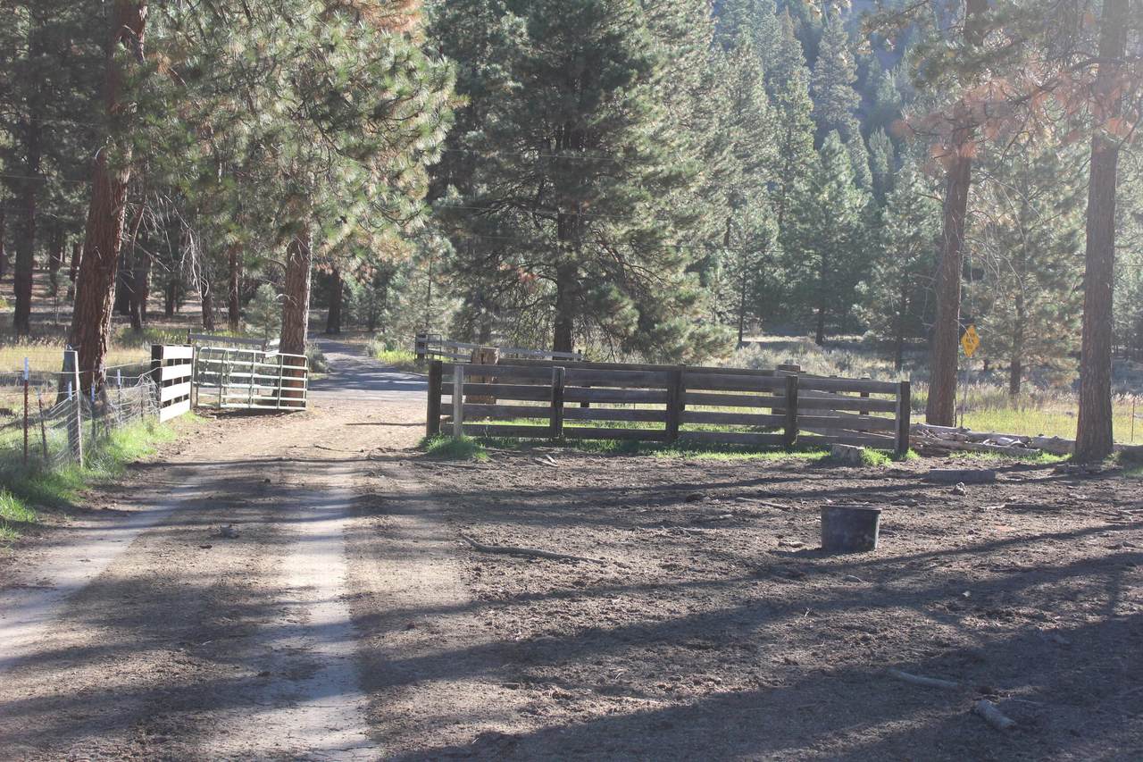 10612 Old Fort - Photo 1