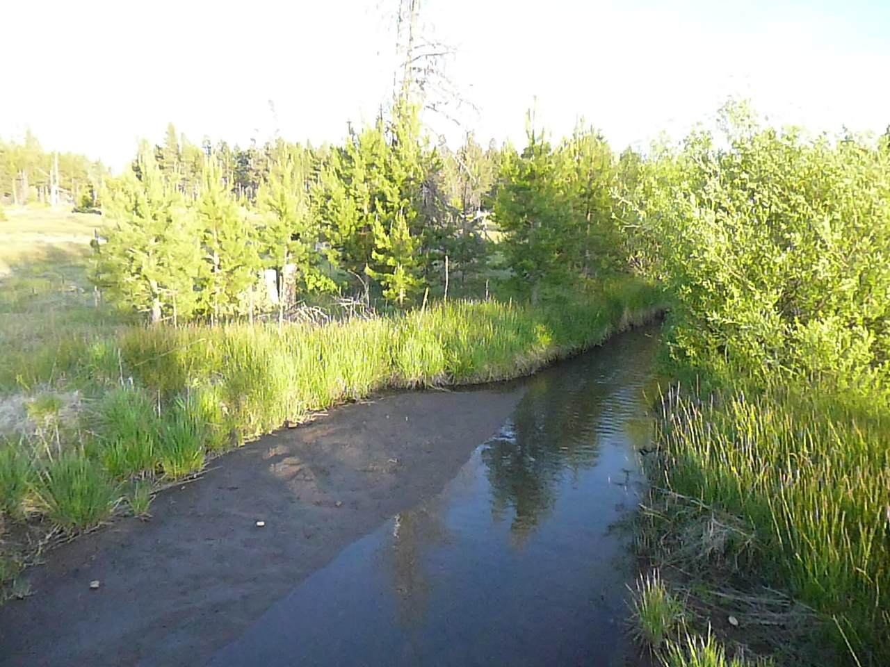 https://bt-photos.global.ssl.fastly.net/coar/1280_boomver_3_220216801-2.jpg