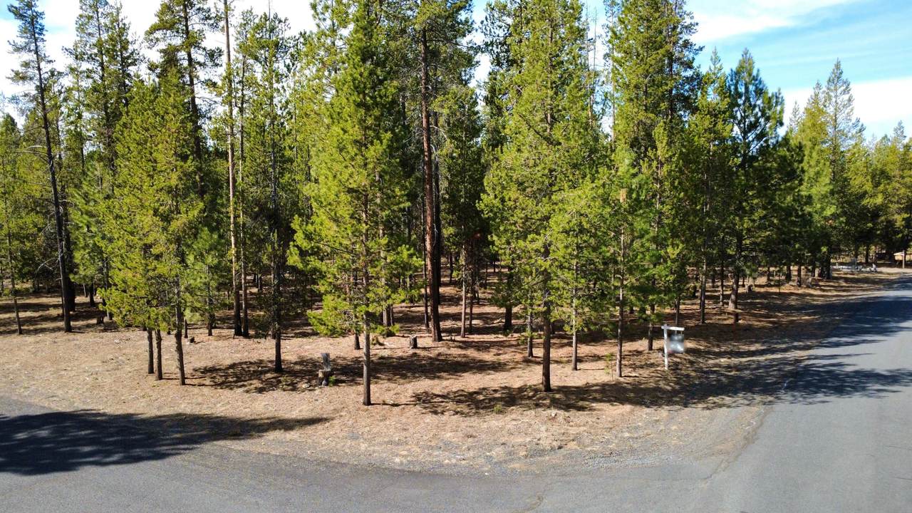 15111 River Loop Drive - Photo 1