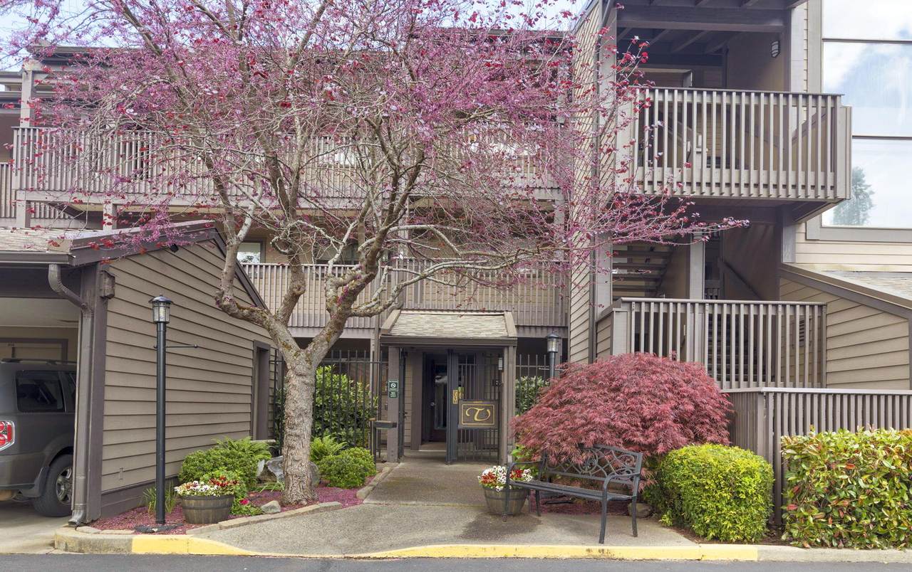 115 Rogue River #308 Highway - Photo 1