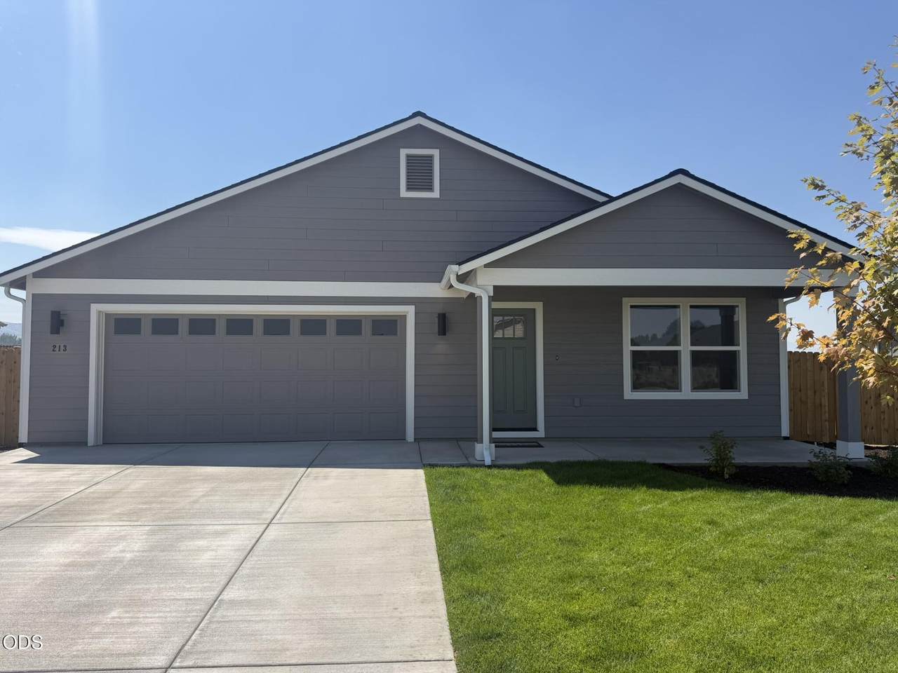213 Peppermint Loop - Photo 1