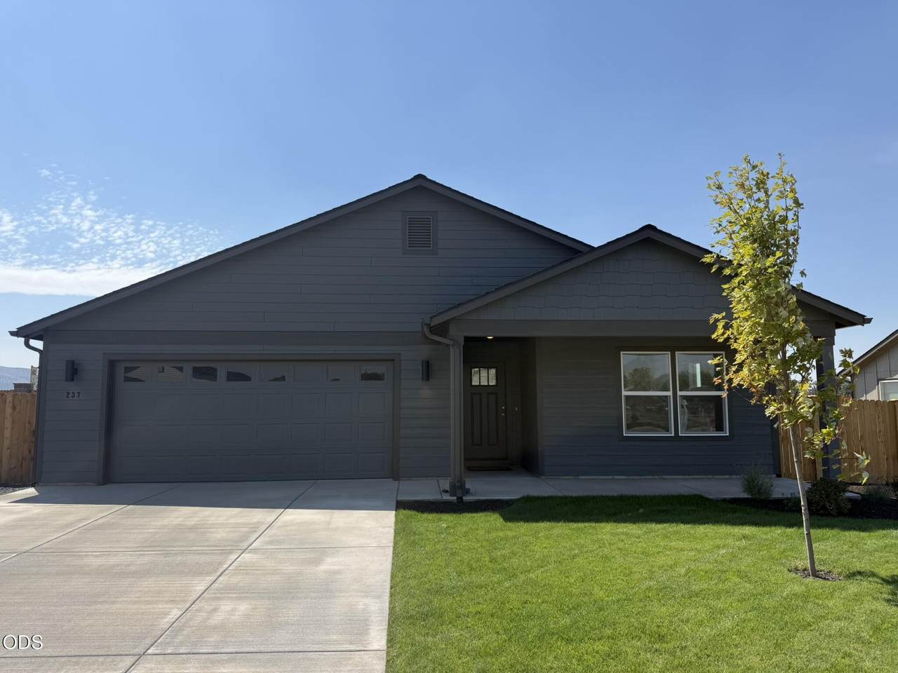 237 Peppermint Loop - Photo 1