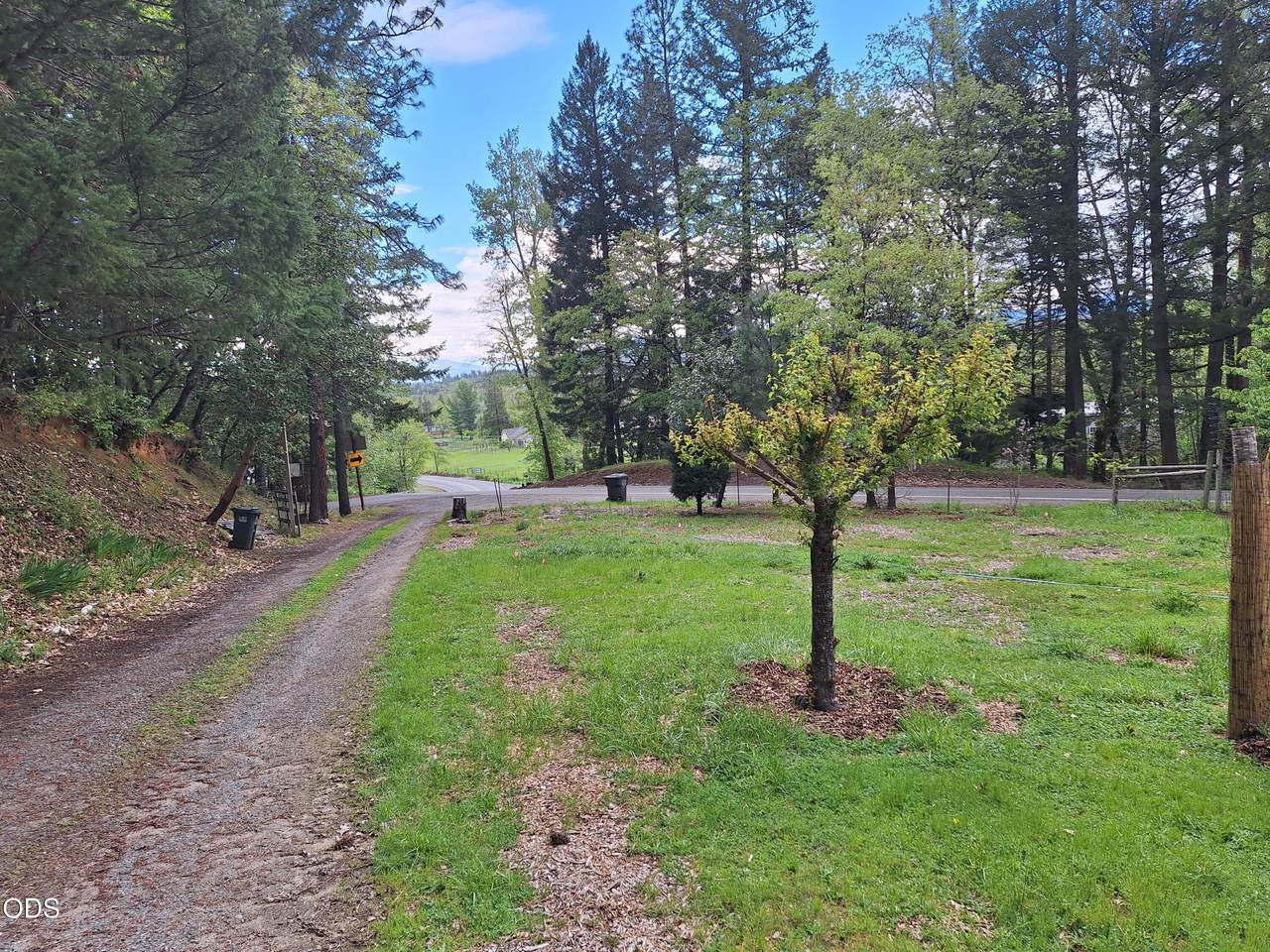 1771 Sleepy Hollow Loop - Photo 1