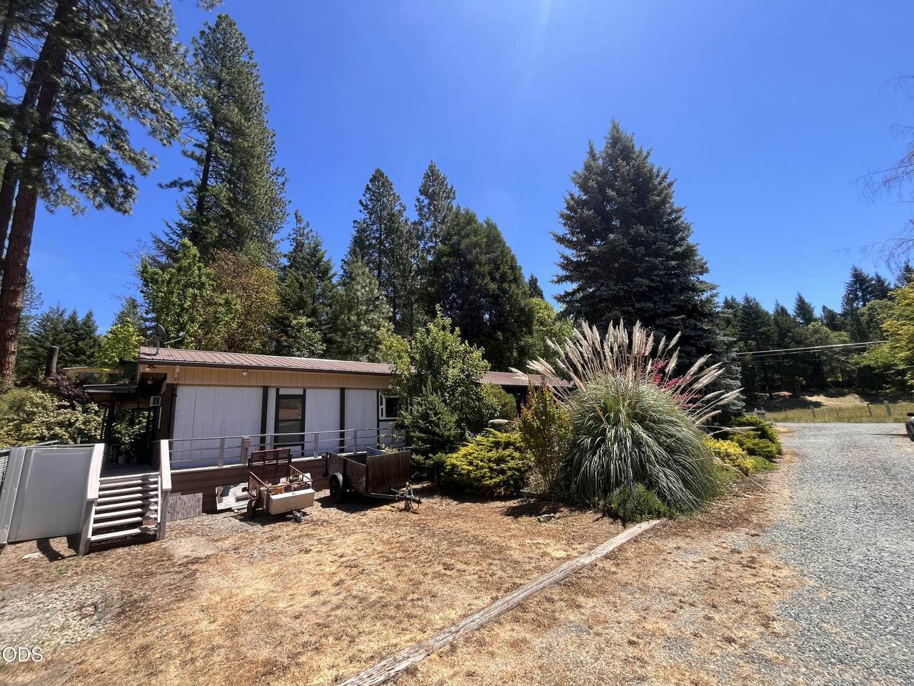 6226 Evans Creek Road - Photo 1