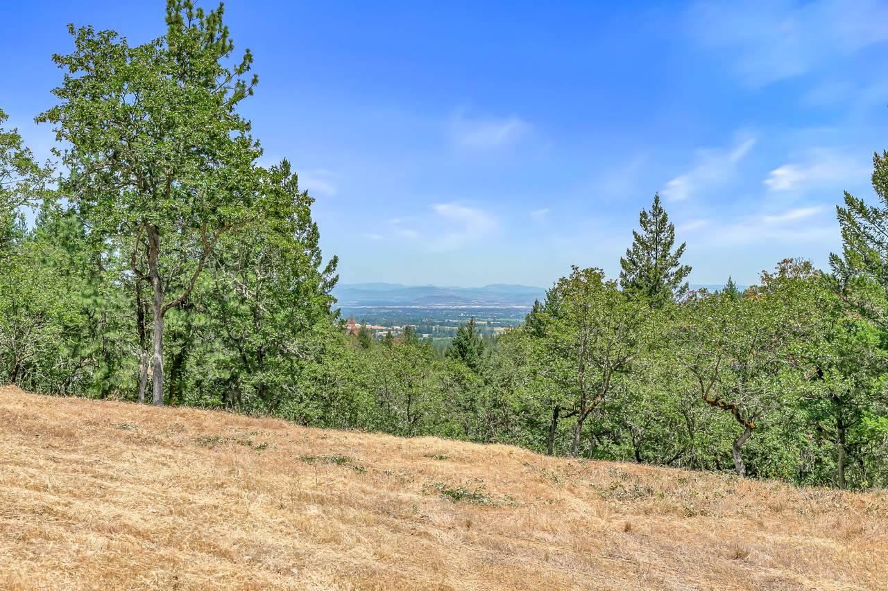 254 Juanita Way - Photo 1