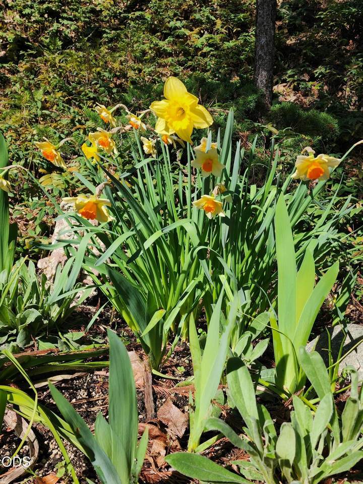 https://bt-photos.global.ssl.fastly.net/coar/1280_boomver_1_220221495-2.jpg