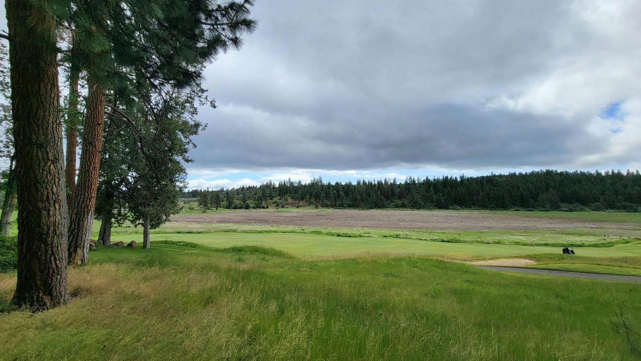 0 Merganser Road - Photo 1