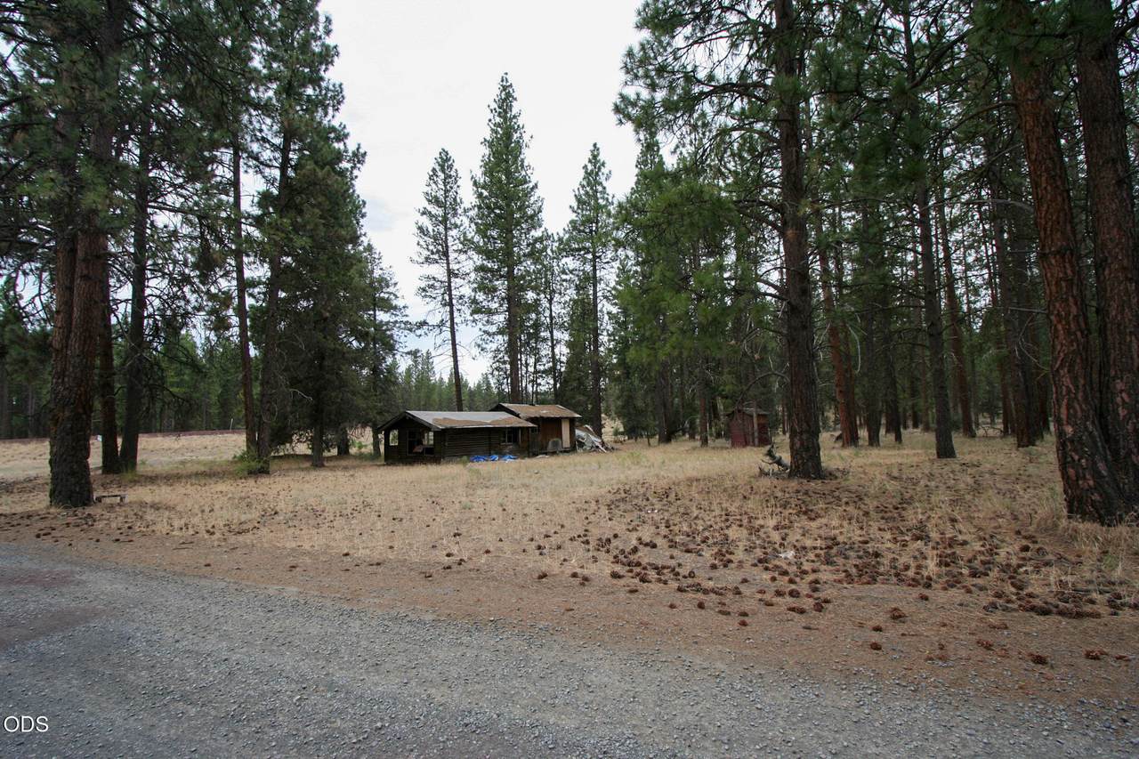 9208 Mina Bird Drive - Photo 1
