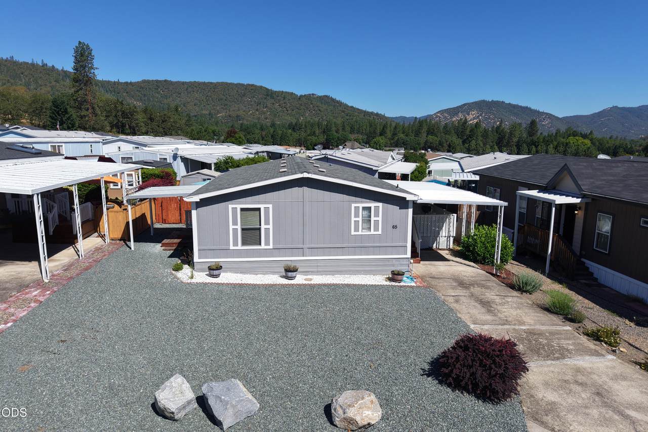 8401 Old Stage Road - Photo 1