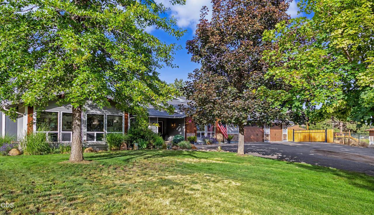 3665 Pine Tree Drive - Photo 1