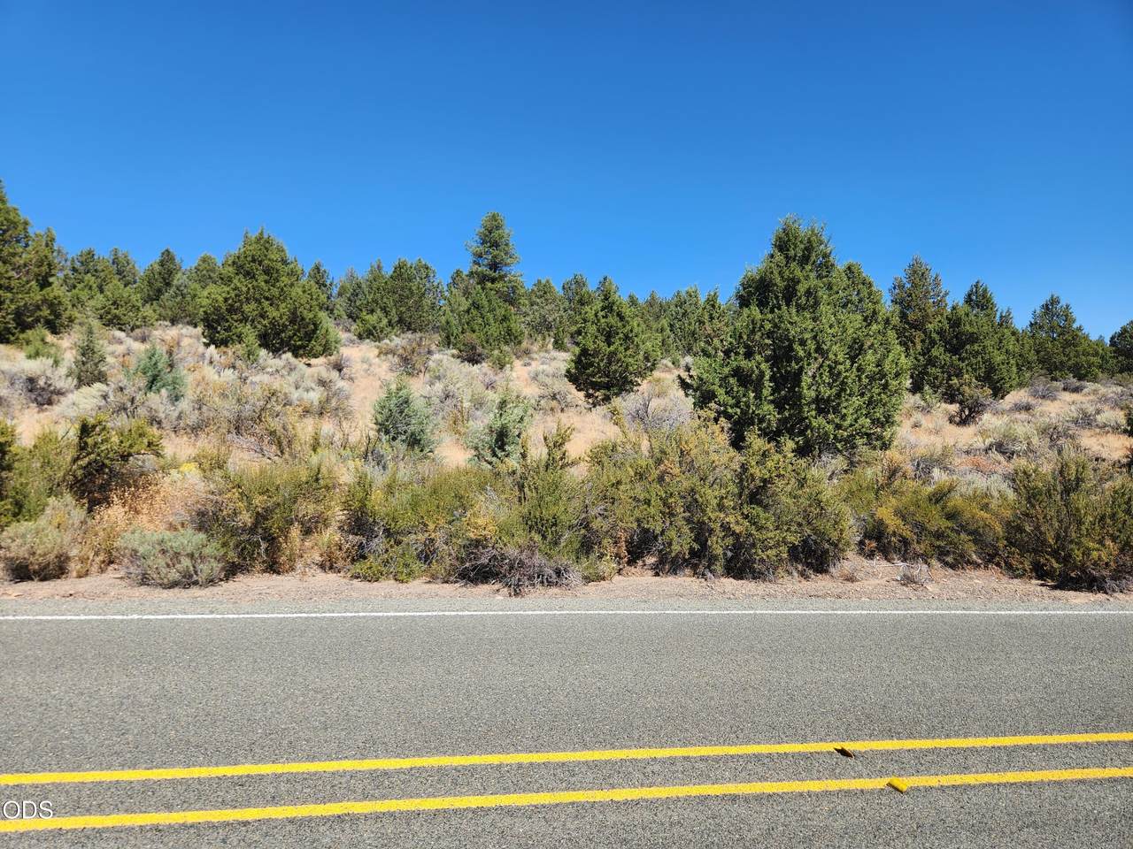  Drews Rd - Photo 1