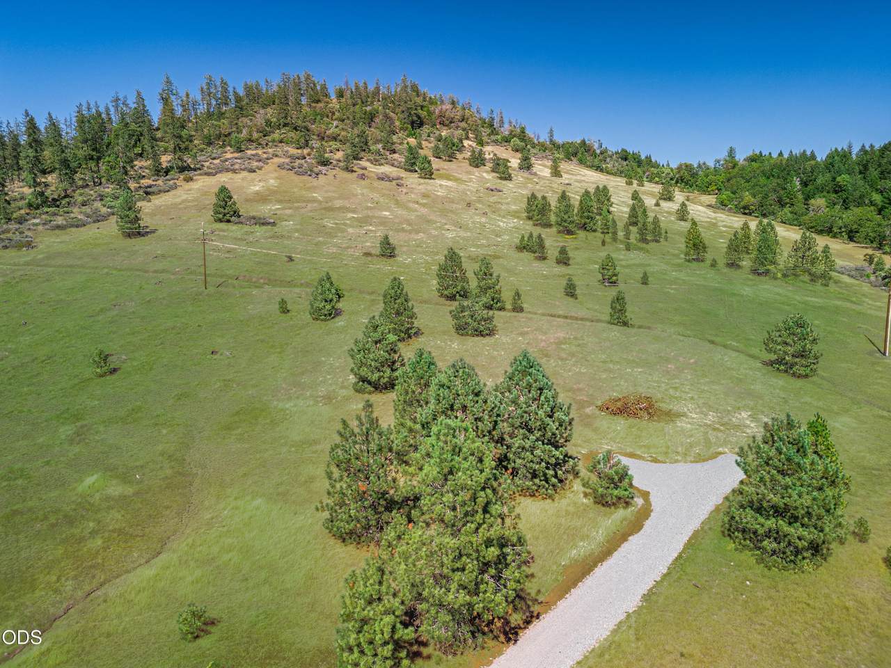 1408 Caves Highway - Photo 1