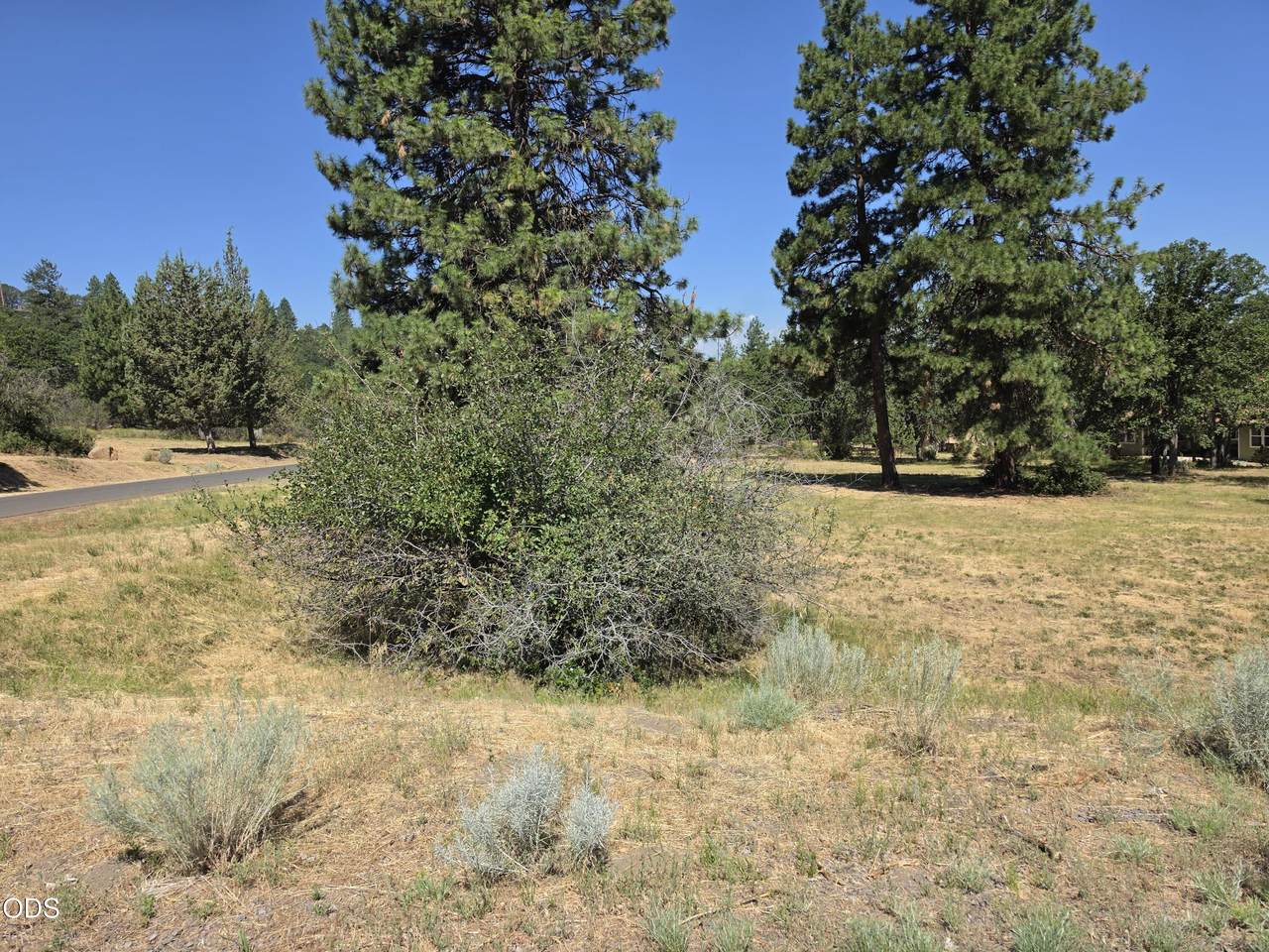 https://bt-photos.global.ssl.fastly.net/coar/1280_boomver_2_220225991-2.jpg