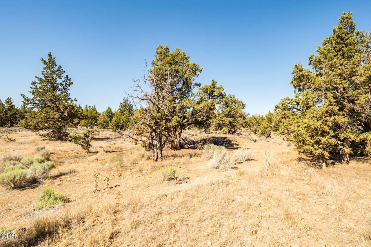 63455 Chaparrel Drive - Photo 1