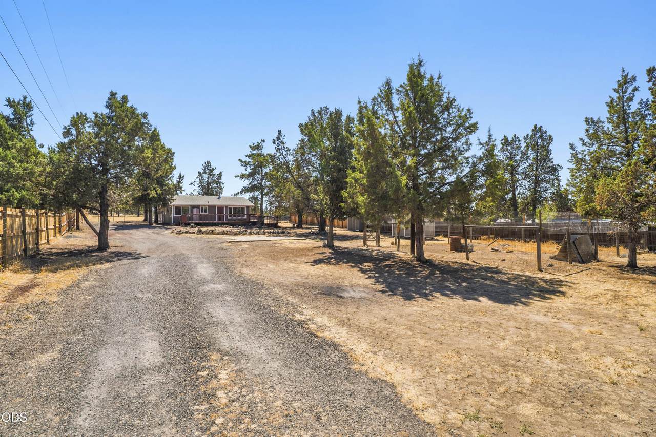 8445 High Cone Drive - Photo 1