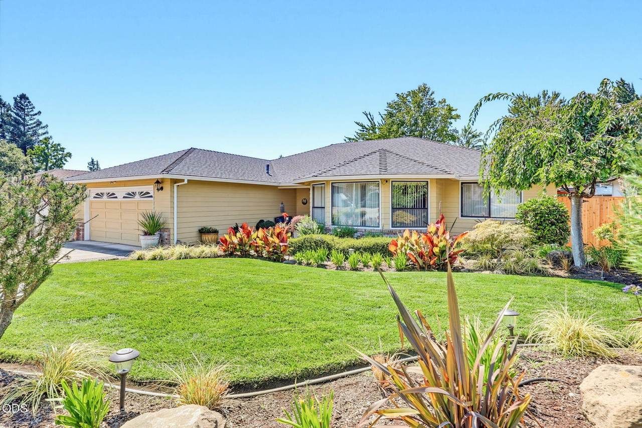 2315 Asher Drive - Photo 1