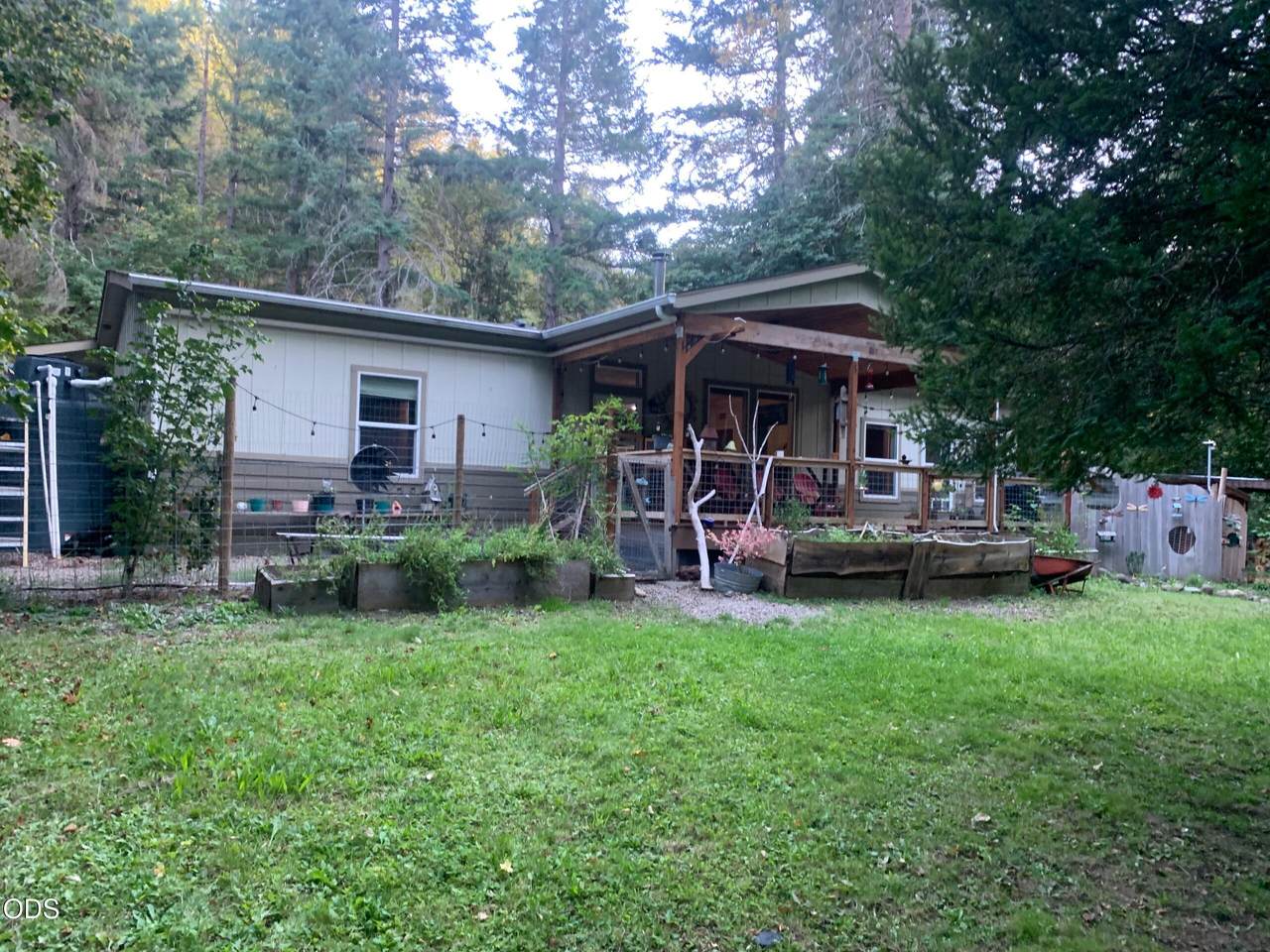 52 Dodes Creek Road - Photo 1