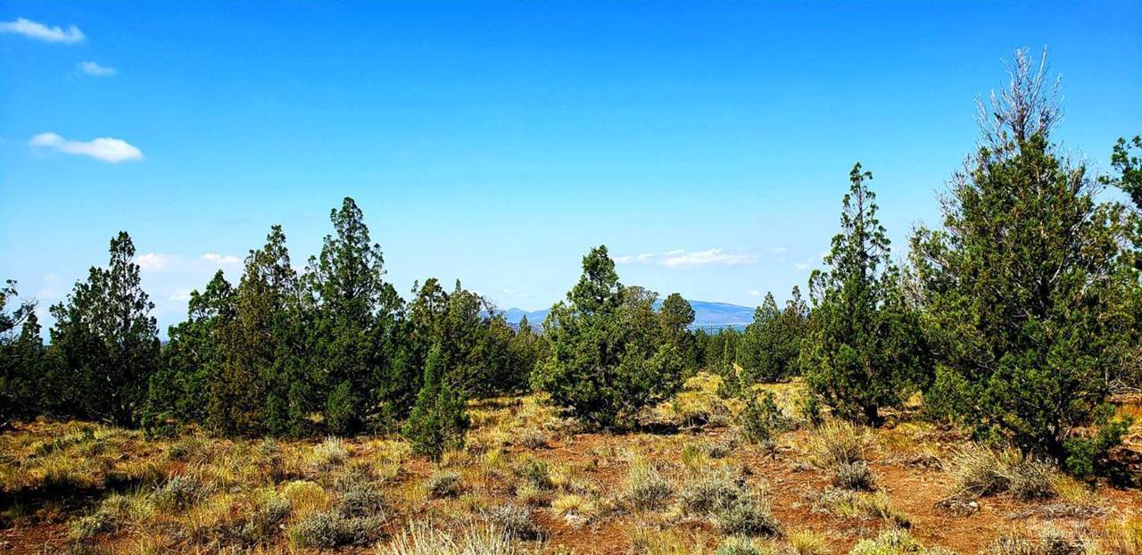 15251 Yakima Road - Photo 1