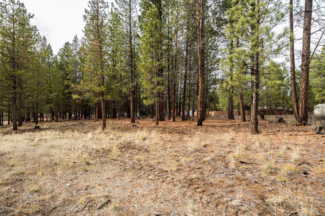 17663 Randy Court - Photo 1