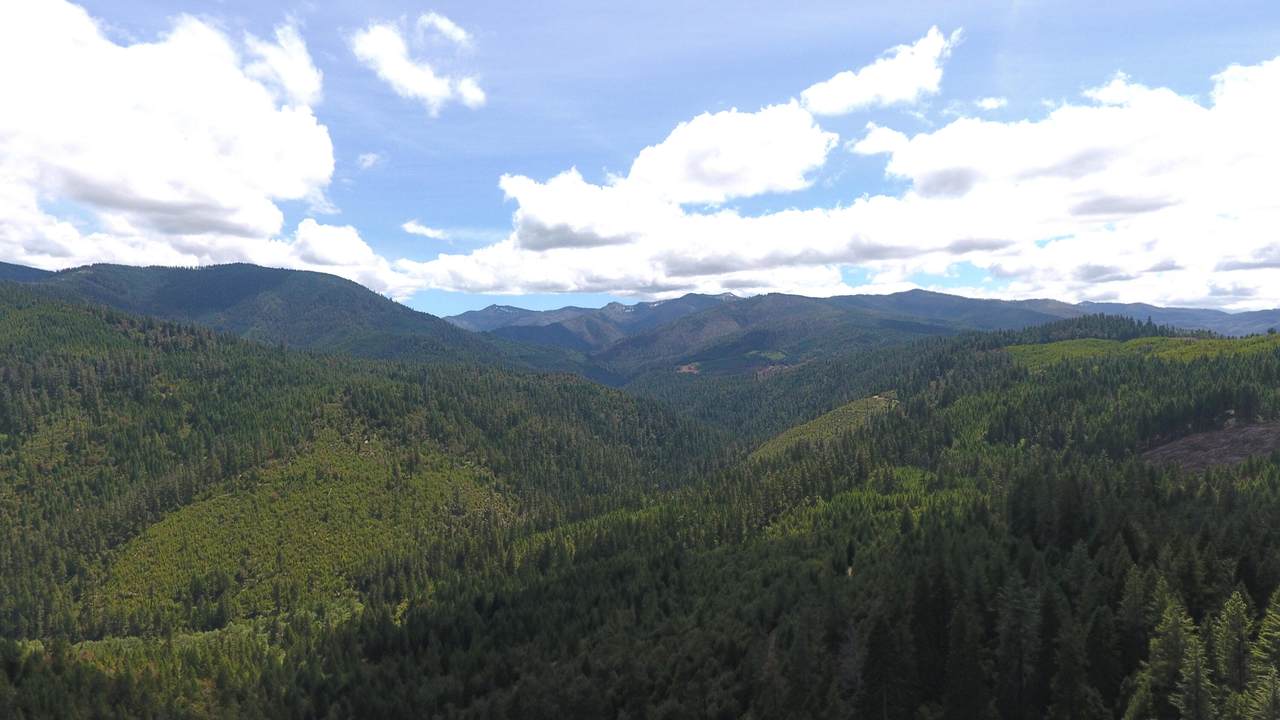 TL 405 French Peak Road - Photo 1