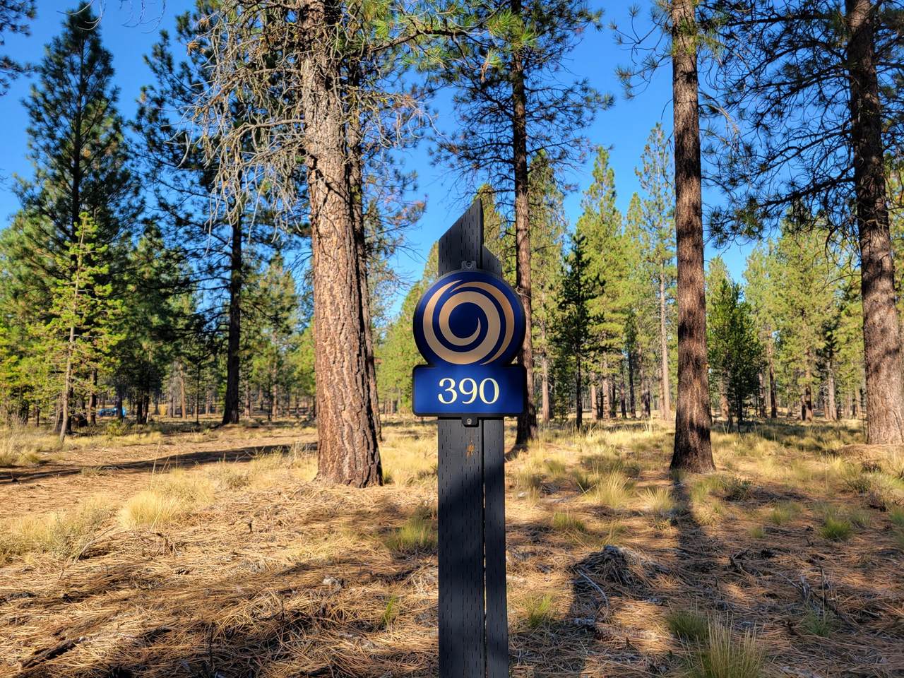 56290-390 Mirror Rock Loop - Photo 1