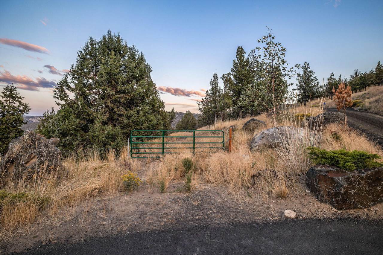 7584 Night Hawk Court - Photo 1