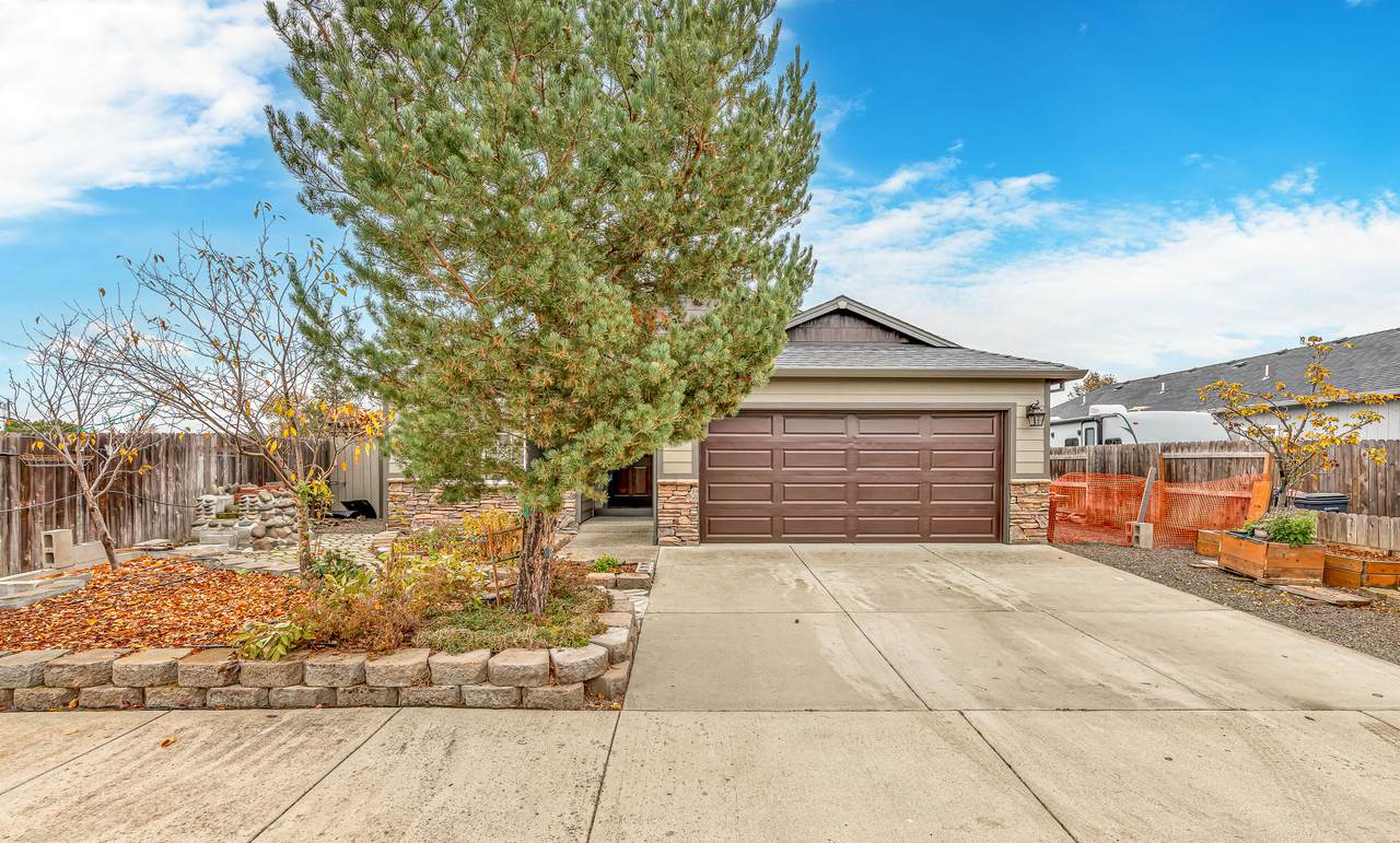 7540 Rocio Drive - Photo 1