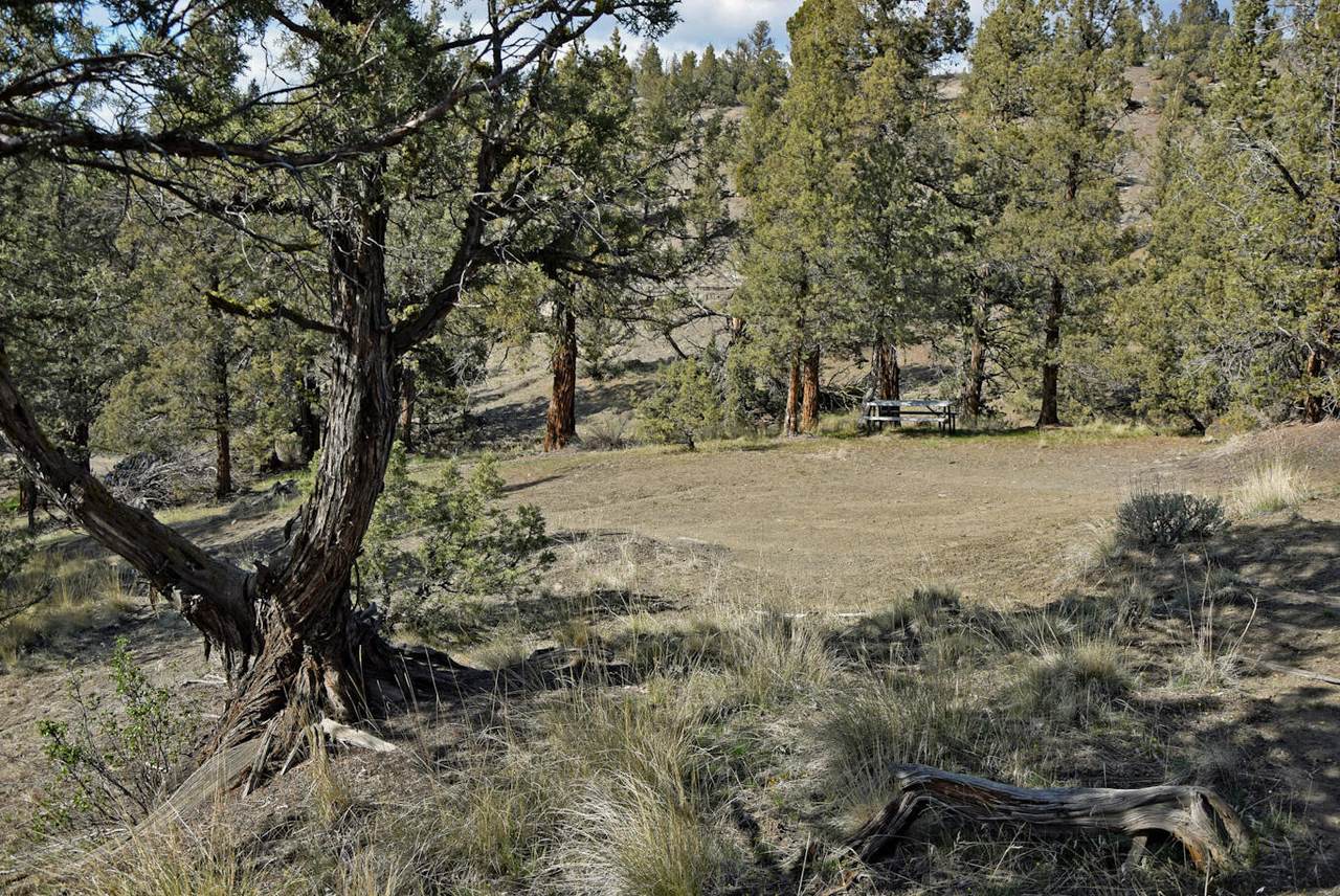 TL 800 Box Canyon Place - Photo 1