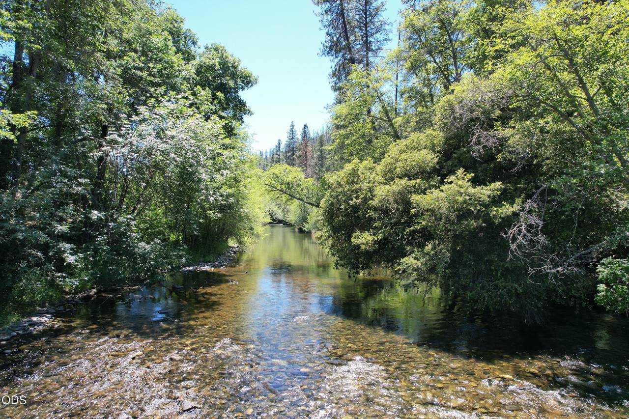  Kinney Cr Road - Photo 1