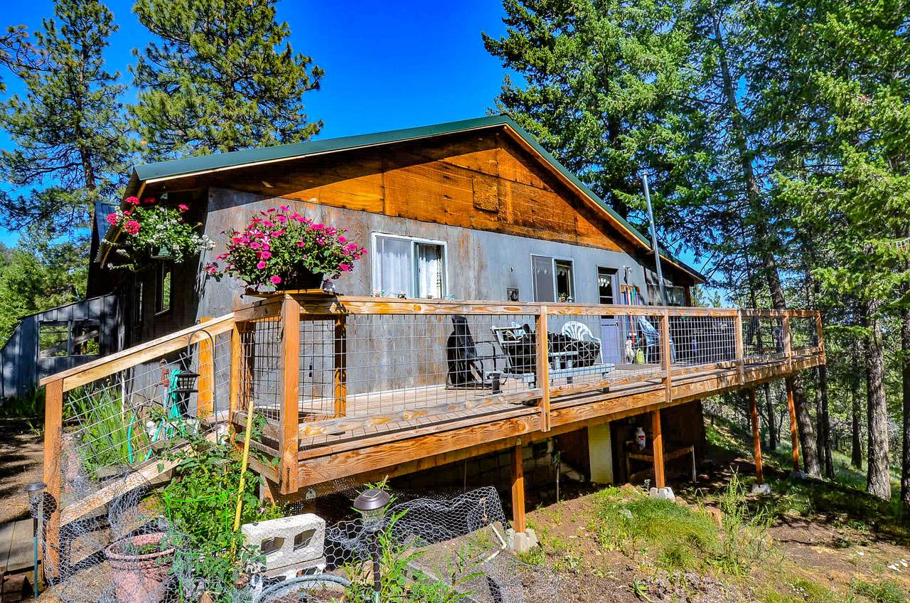 62305 Haggard Loop - Photo 1
