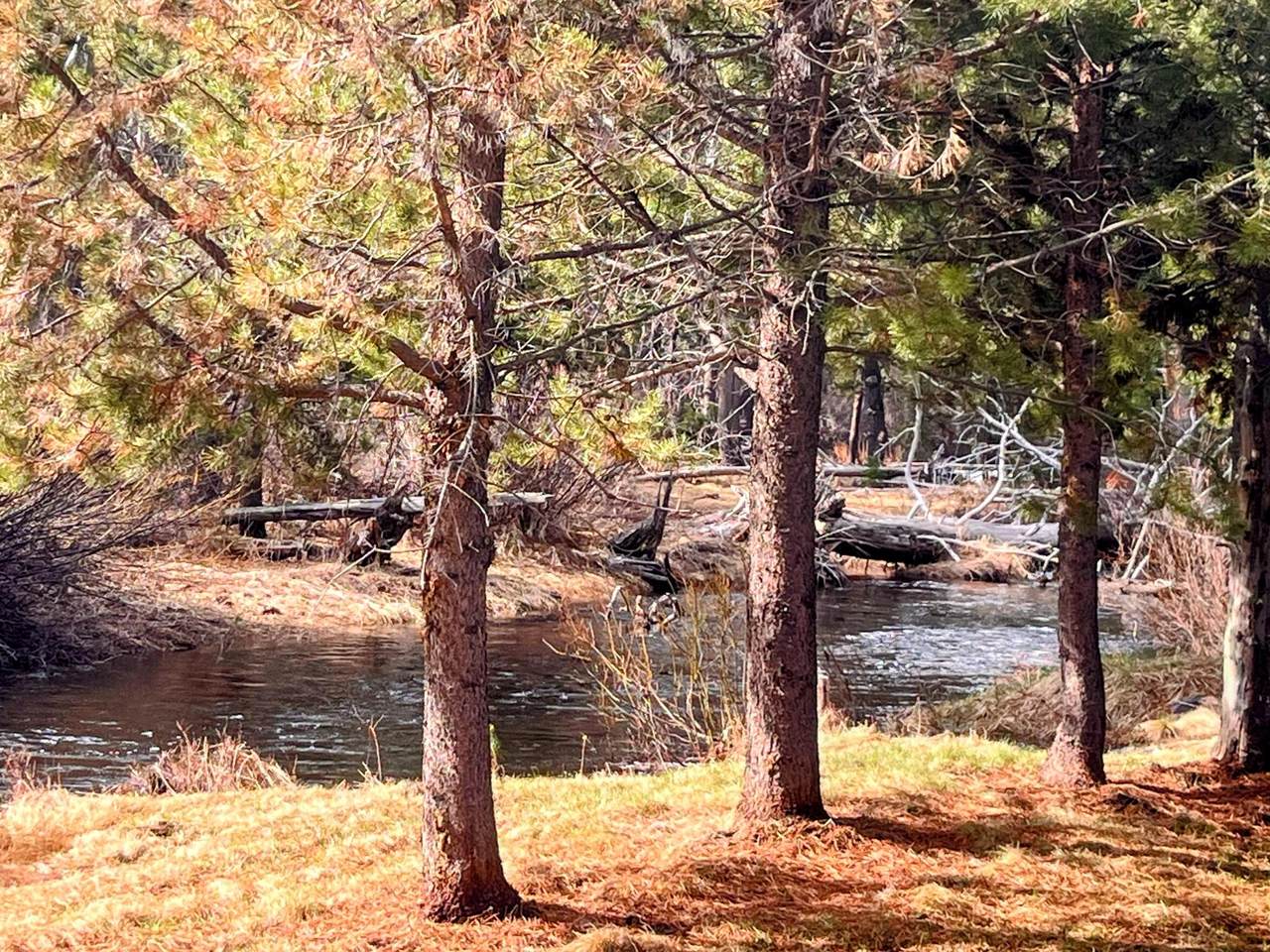 11762 Hemlock Creek Road - Photo 1