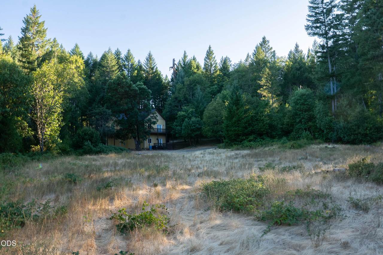 709 Pinewood Way - Photo 1