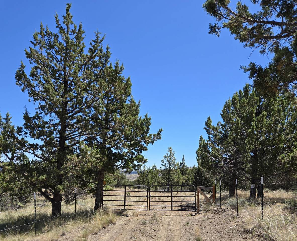 20102 Osprey Road - Photo 1