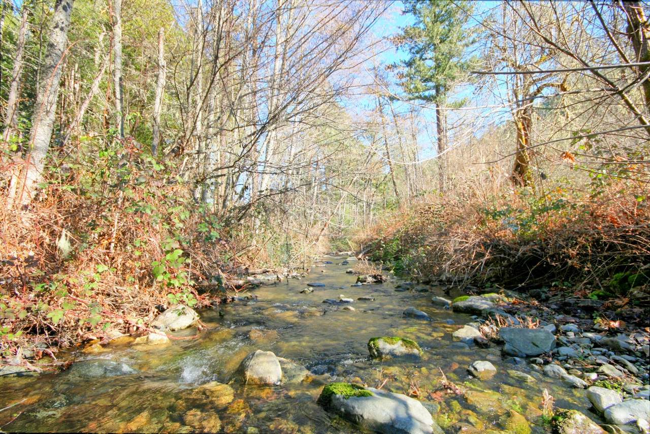 5000 Thompson Creek Road - Photo 1