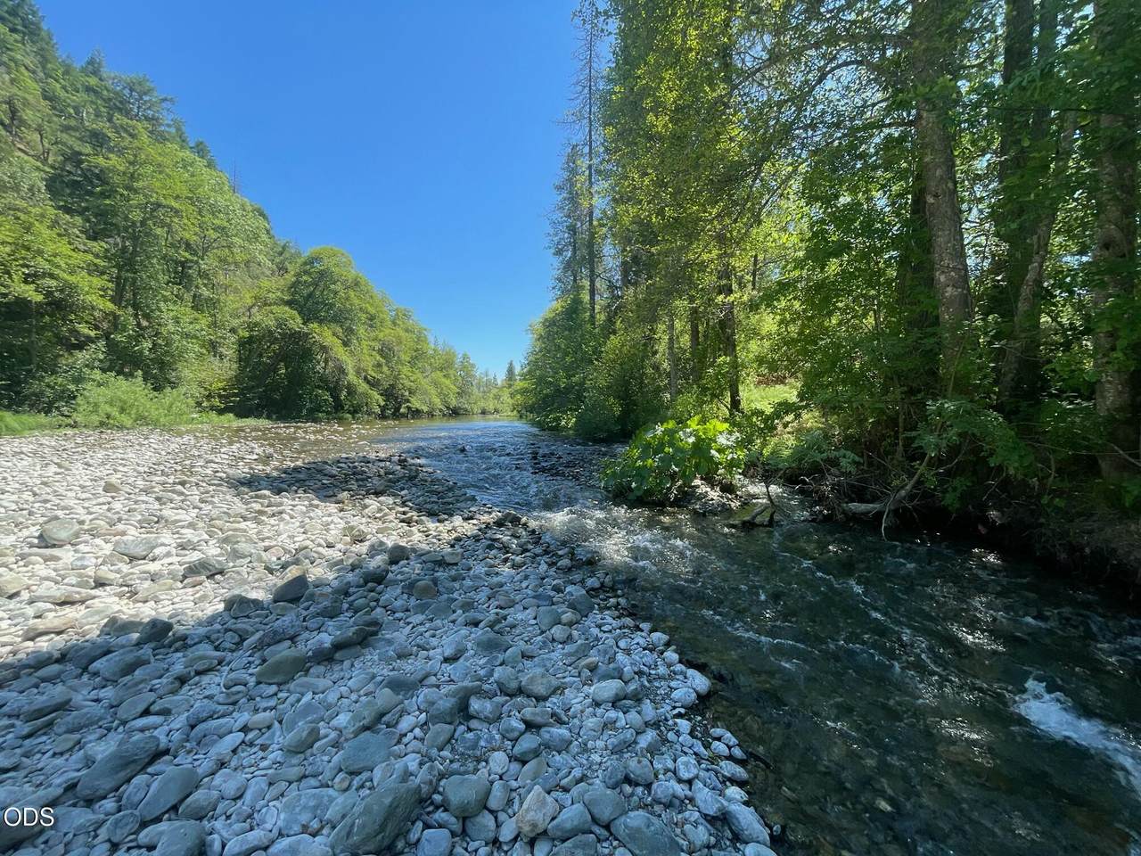 6223 Takilma Road - Photo 1