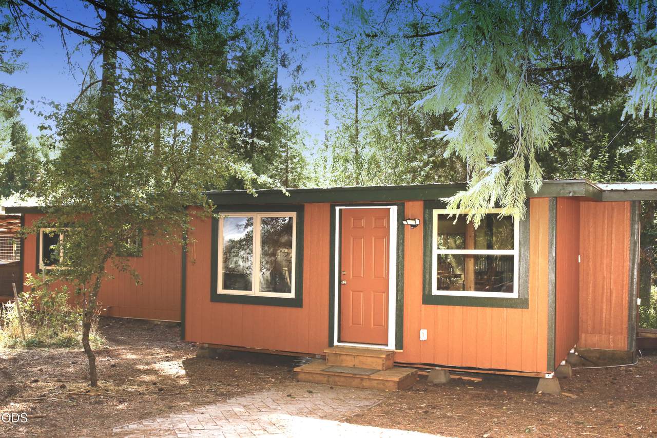 705 Lone Mountain Road - Photo 1