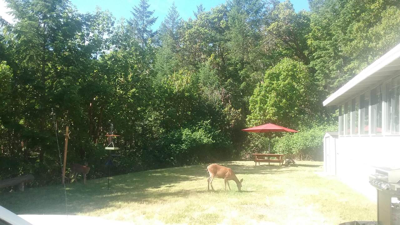2090 Jones Creek Road - Photo 1