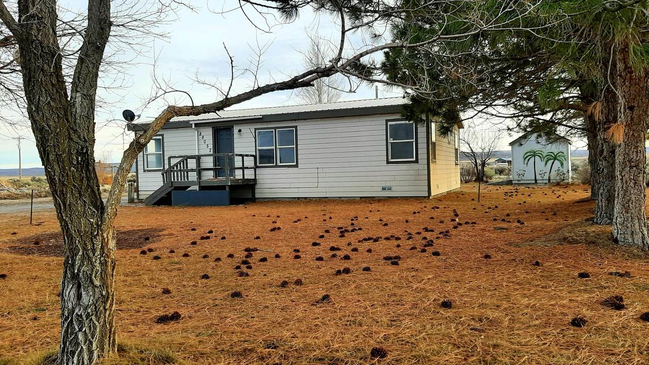 88052 Cedar Street - Photo 1