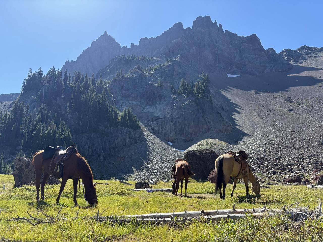 17235 Century Drive - Photo 1