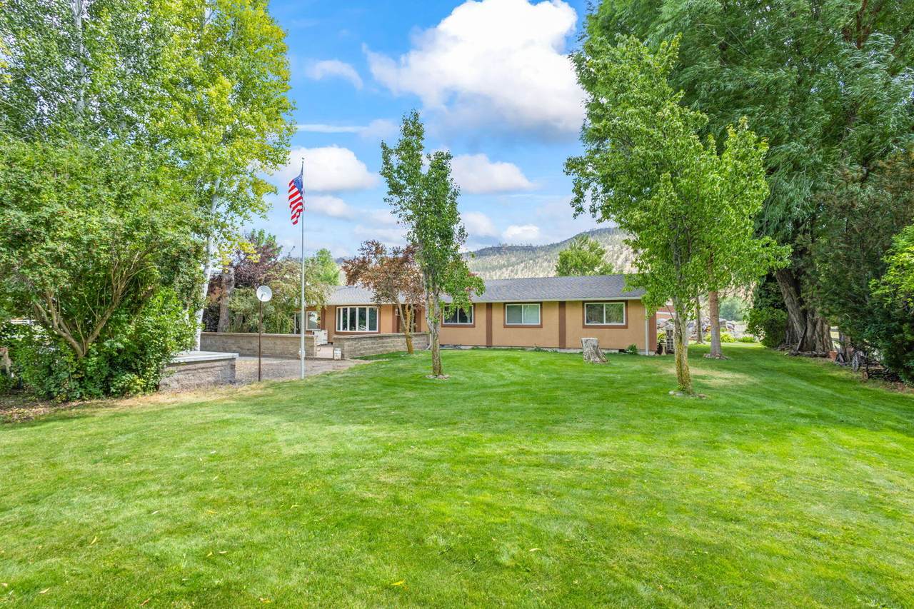 389 Orchard Lane - Photo 1