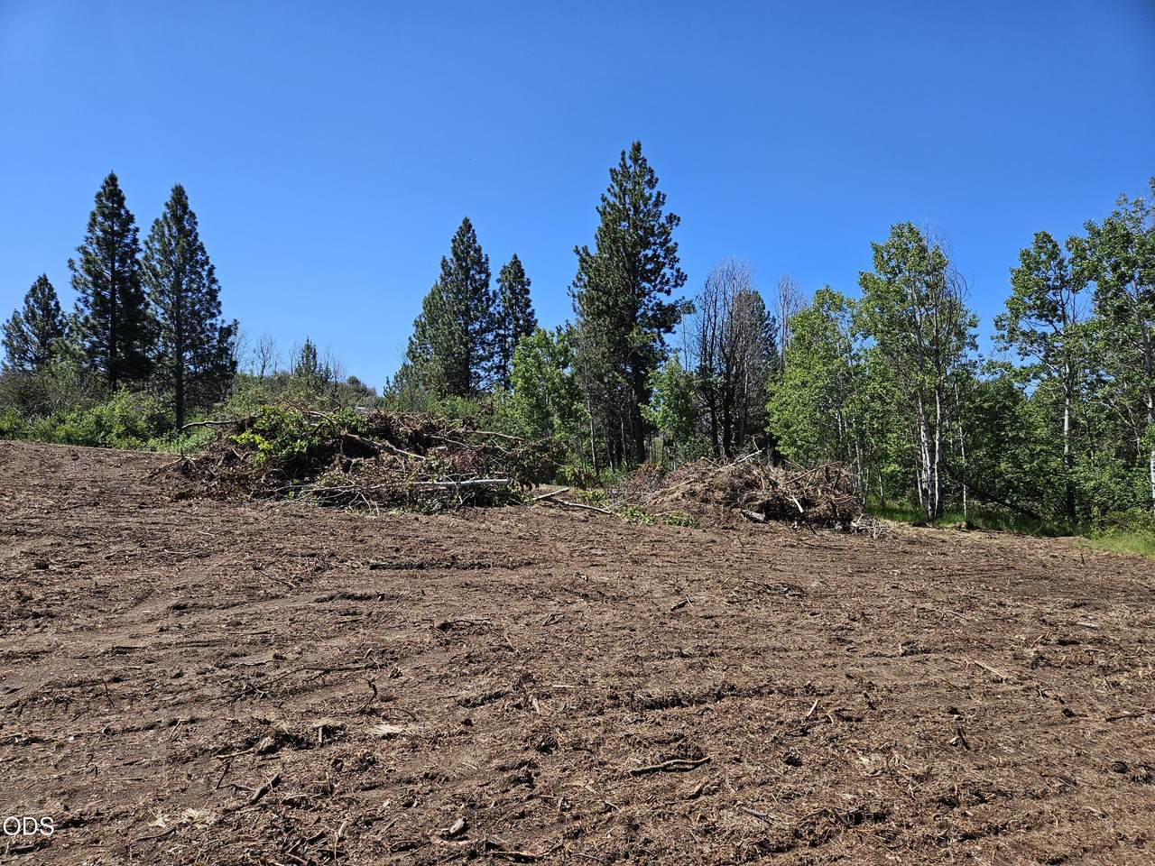 0 Forest View Drive - Photo 1
