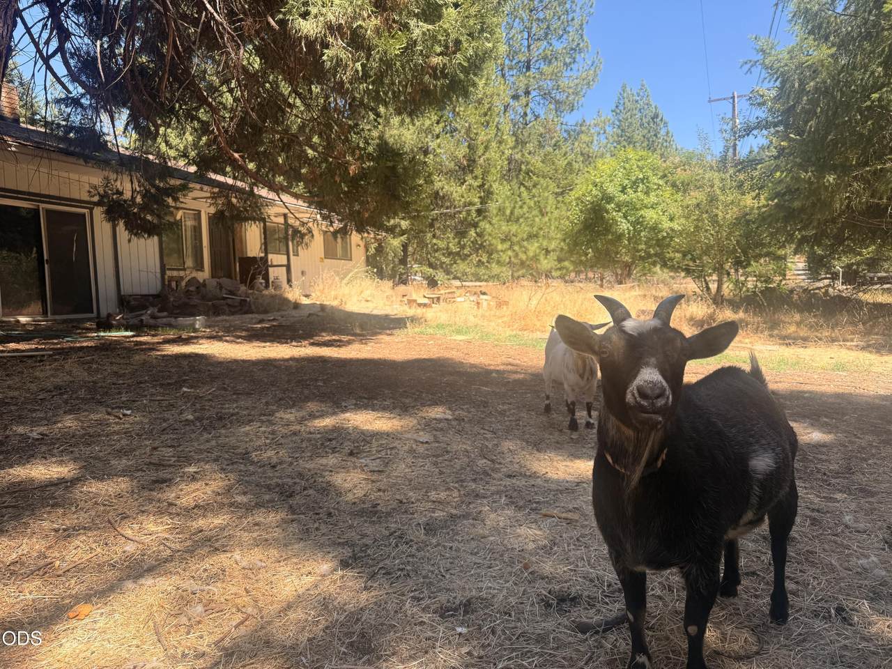 6148 Evans Creek Road - Photo 1