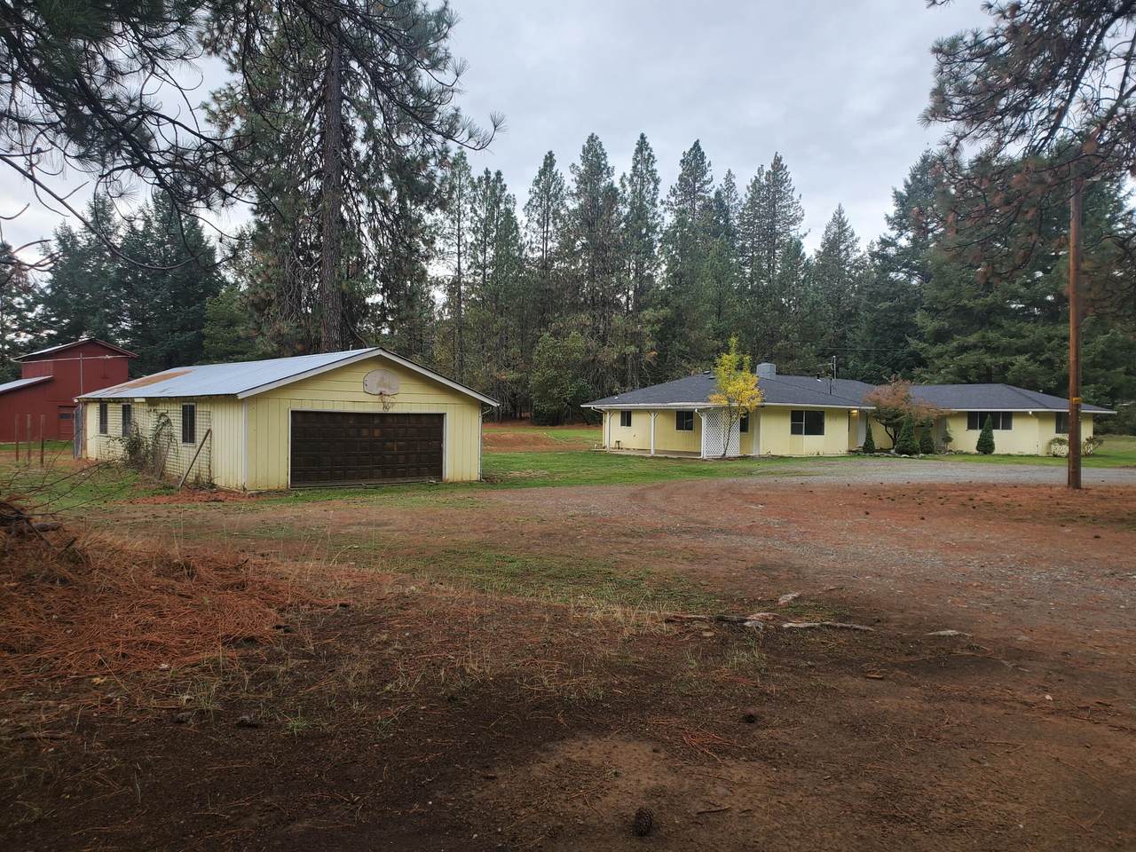 513 Queens Branch Road - Photo 1
