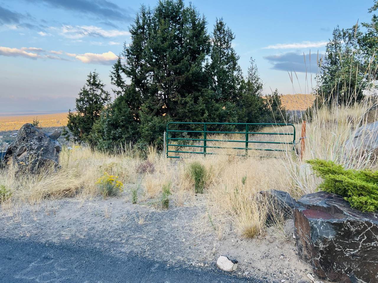 7584 Night Hawk Court - Photo 1