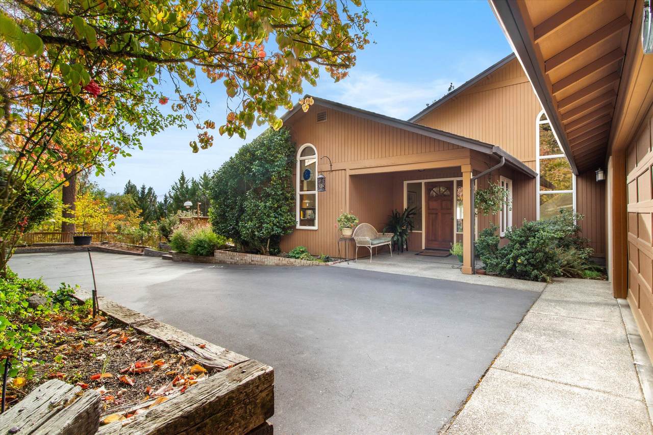 1624 Olmar Street - Photo 1