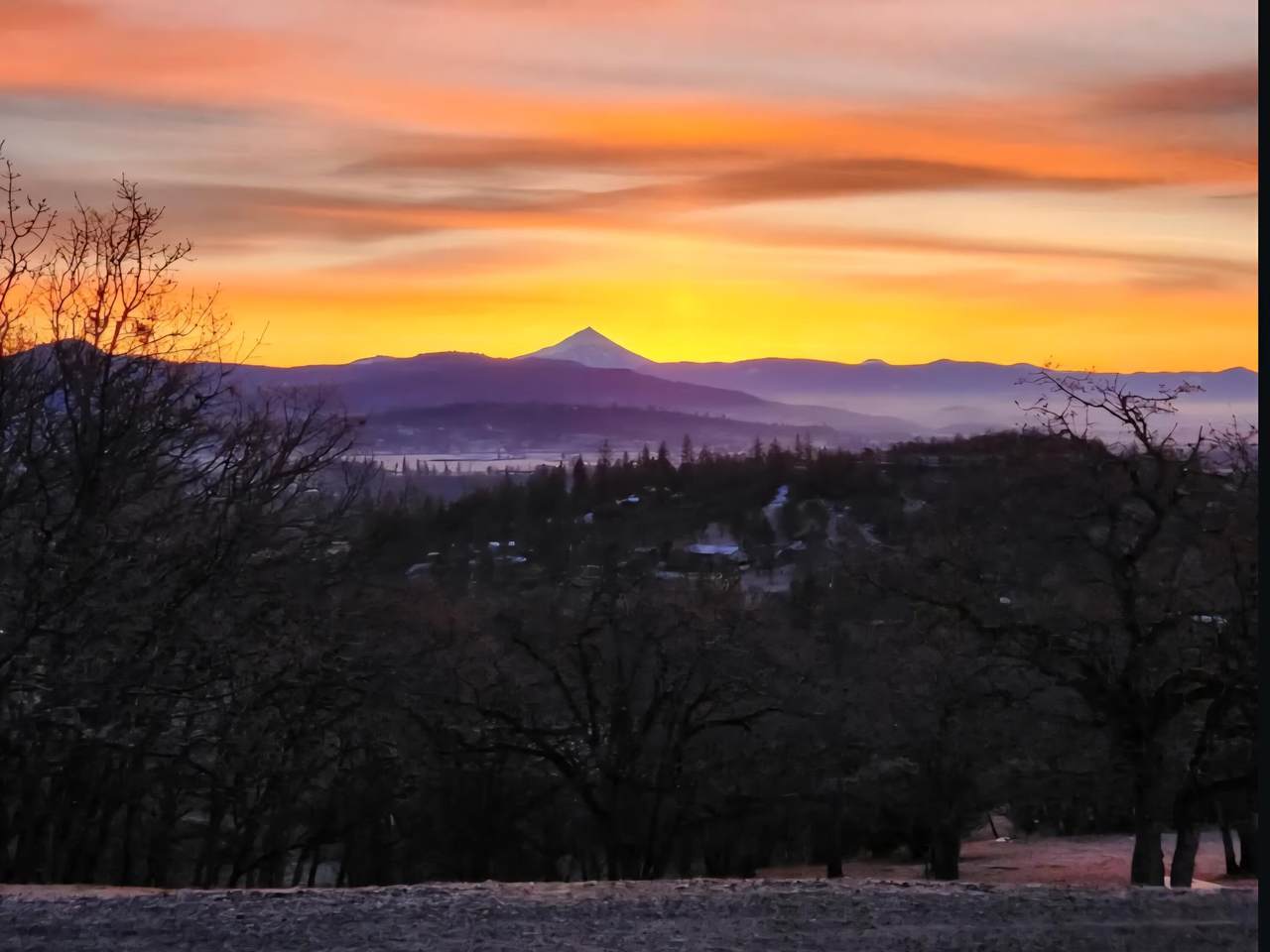 198 Flamingo Drive - Photo 1