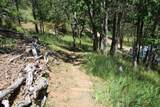10000 Little Applegate Road - Photo 97