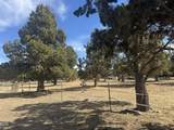 3913 Umatilla Loop - Photo 38